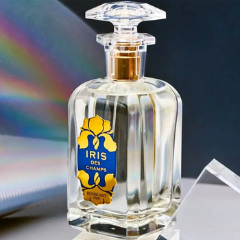Iris des Champs EDP